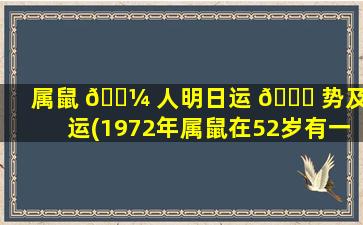 属鼠 🌼 人明日运 🐕 势及财运(1972年属鼠在52岁有一个坎嘛)